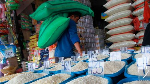 fraude con arroz importado deja millonaria pérdida al estado boliviano