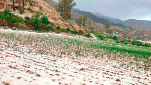 Desastres naturales en Potosí provocan la pérdida del 26% de la producción agrícola