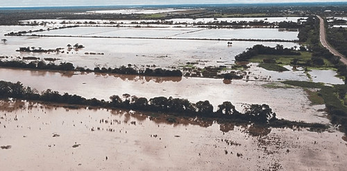 Lluvias, falta de diésel y bajos precios golpean al agro cruceño y dejan millonarias pérdidas