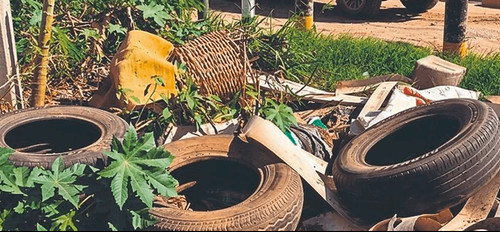 Chikunguña deja 21 fallecidos y más de 9.300 casos en santa cruz en lo que va del año