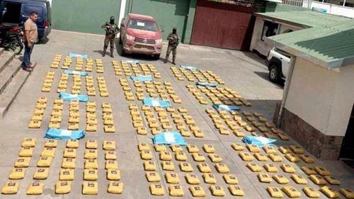 Golpe al narcotráfico en  Cochabamba: Felcn afecta más de  $us 4 millones
