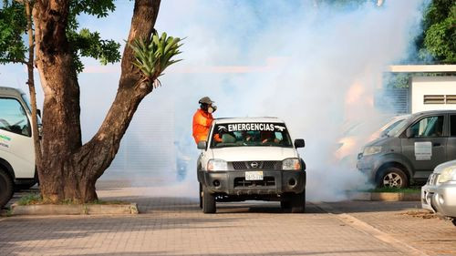 Gobierno evalúa clases a distancia ante aumento de chikungunya en Santa Cruz