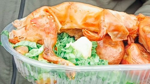 El Alto prepara festival gastronómico del cuy