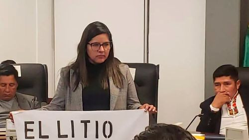 Diputados exigen tratar contrato de litio con empresa rusa en Potosí tras incidentes en sesión