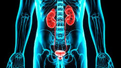 Dúo de medicamentos contra el cáncer duplica la supervivencia en cáncer de vejiga avanzado