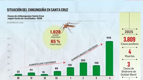 Chikunguña provoca más de mil contagios deja a un bebé en terapia intensiva