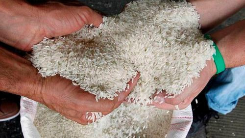 Insumos bolivia denuncia  importación de arroz contaminado  y busca recuperar millonario  anticipo