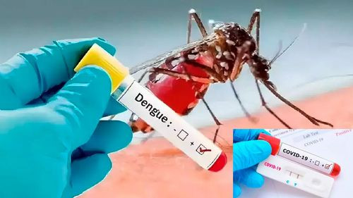 Guía para distinguir entre el dengue y el COVID-19: Síntomas, tratamiento y acciones a seguir
