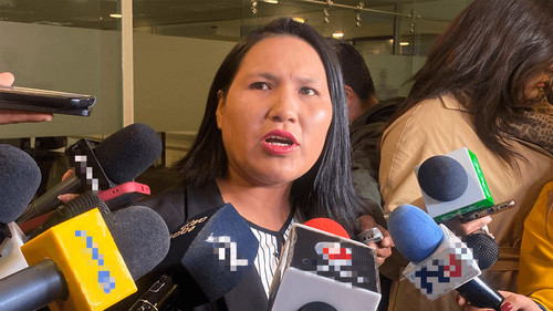 La diputada Maria Elena Pachacute denuncia irregularidades en el proceso de designación del fiscal general de Bolivia