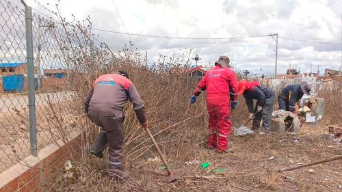 A tres semanas de Todos Santos,  Distrito 10 inicia la limpieza del  cementerio de Parcopata