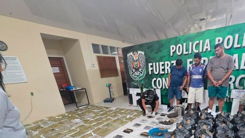 FELCN desmantela fábricas artesanales de hachís en Santa Cruz