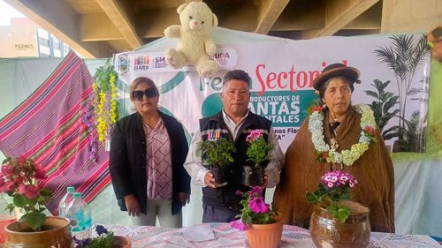 Flores, arte y tradición dan inicio al mes de la juventud en Cruce Villa Adela