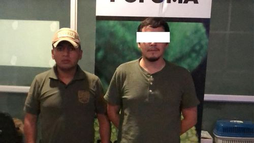 Aprehenden a hombre acusado de matar violentamente a una gatita en Santa Cruz