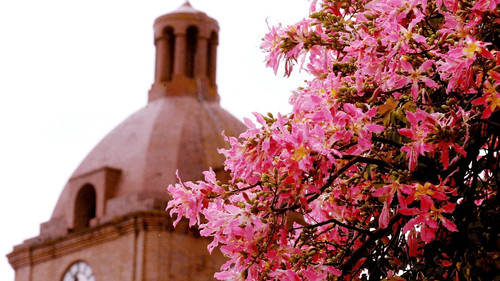 Confirmado el feriado largo del 2 de enero en Bolivia