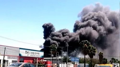 “Era una columna de humo imponente”: bombero relata incendio en el Parque Industrial de Santa Cruz