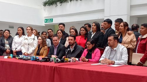 Libre anuncia comisiones especiales  para investigar casos sensiblesv