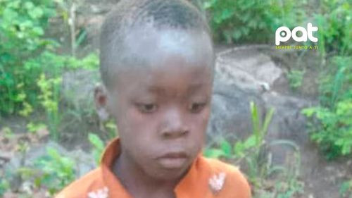 Un niño de 8 años sobrevivió 5 días perdido en una parque lleno de leones en Zimbabue