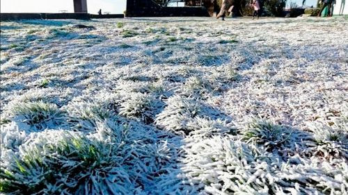 Ola polar tiñe de blanco el sur de Brasil con nevadas y temperaturas extremas