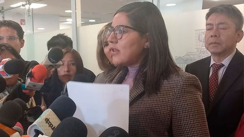 Diputada Lissa Claros anuncia  interpelaciones a ministros y  cuestiona restricciones