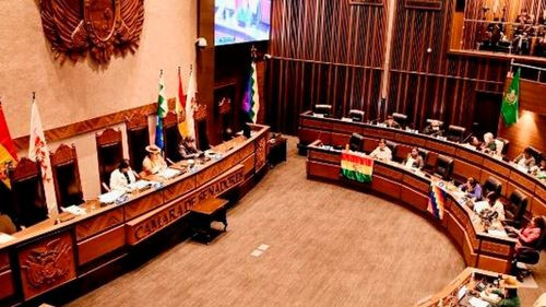 La Cámara de Senadores aprueba ley para blindar las elecciones judiciales