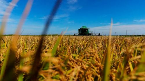 Confeagro pide a la ALP y candidatos frenar el “sabotaje económico”