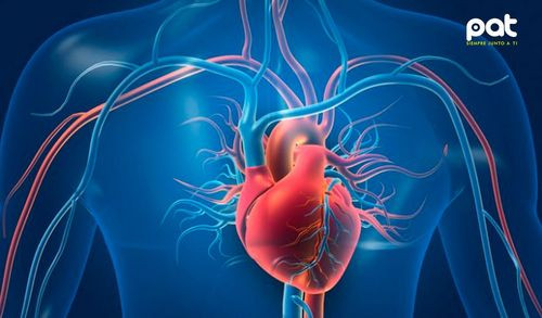 Nuevo fármaco reduce dramáticamente los triglicéridos en sangre, abriendo una promisoria vía en el tratamiento cardiovascular