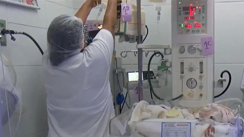 Alerta roja por chikungunya: denuncian saturación en hospitales de Santa Cruz