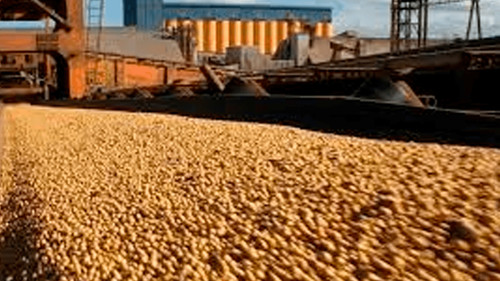 Anapo saluda anuncio de Paz y espera la liberación plena de exportaciones para fortalecer la producción