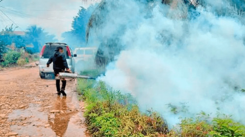 Cochabamba y Santa Cruz concentran los contagios de chikungunya en el país