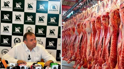 FEGASACRUZ expresa preocupación por suspensión de exportaciones de ganado