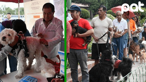 Cochabamba cierra campaña de vacunación antirrábica con 350.000 dosis aplicadas