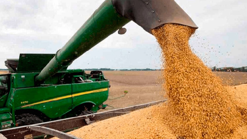 Productores de Soya exigen explicaciones por el cierre de exportaciones