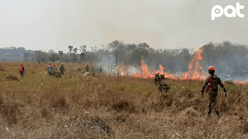 Refuerzan patrullaje aéreo y terrestre contra incendio que amenaza asaí