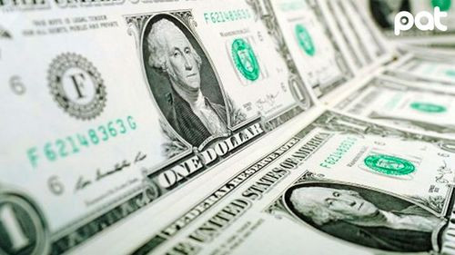 Cotización del dólar digital llega a Bs 20 y genera sospechas sobre operaciones estatales