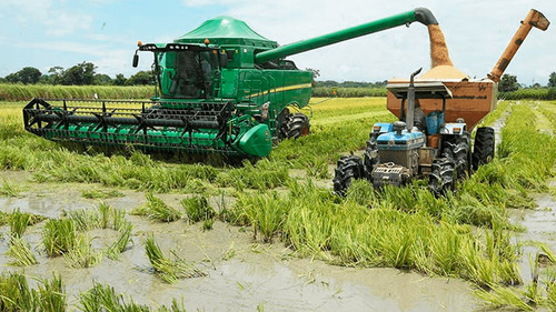 Productores enfrentan crisis por escasez de diésel y proponen pagar a precio internacional 