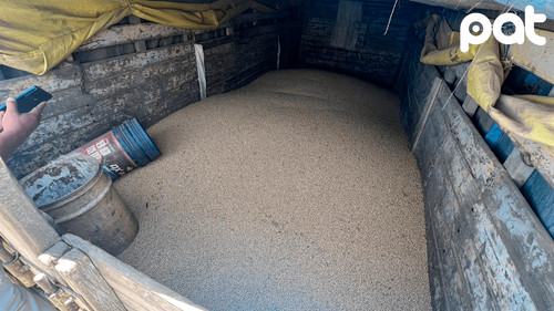 Anapo denuncia robo sistemático de soya en Santa Cruz y pide sanciones ejemplares