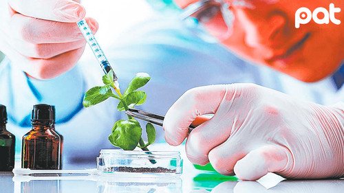 Gobierno analiza ley para regular uso de biotecnología