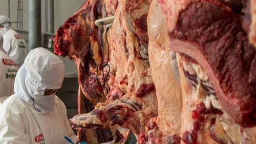 El gobierno anuncia reducción en el precio del kilo gancho de carne de res