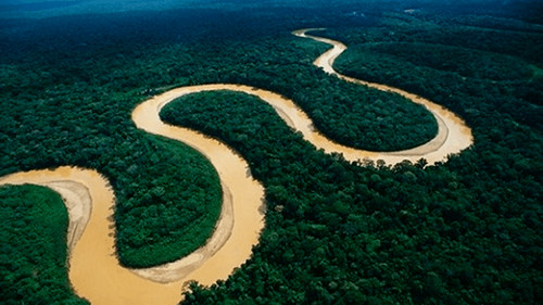 La Amazonía sigue sin ser reconocida en Bolivia bicentenaria 