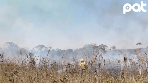Imagen de Dieciséis incendios activos afectan a ocho municipios de Santa Cruz