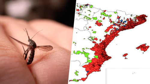 Problema de mosquitos en Sevilla (España): Alerta a autoridades
