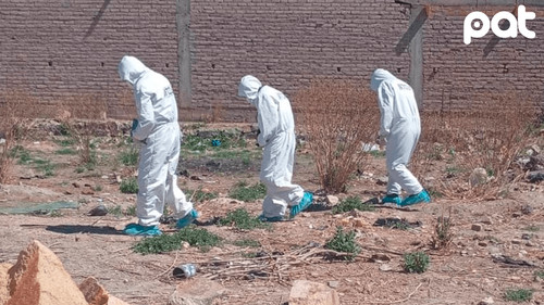 Encuentran cuerpo de recién nacida en Oruro: muerte por asfixia mecánica