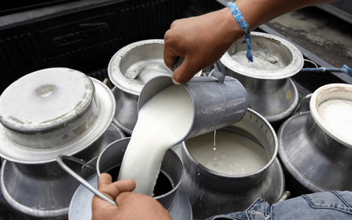 Bolivia exportará leche y derivados a Chile desde marzo