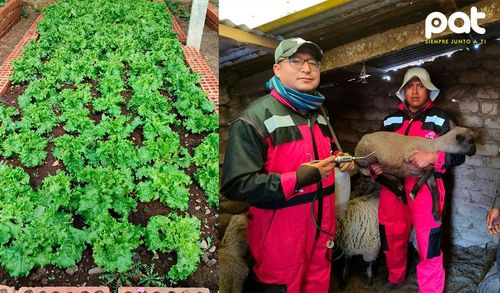 Alcaldía de El Alto organiza primer plan agropecuario para reforzar seguridad alimentaria