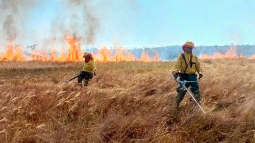 Tribunal Agroambiental ordena coordinación nacional contra incendios