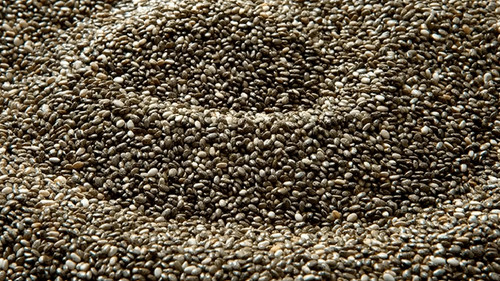 La siembra de chía crece 62% impulsada por exportaciones a China