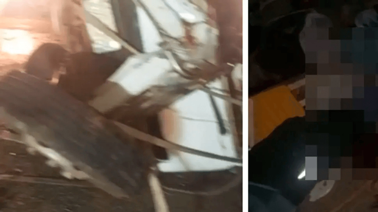 http://www.redpat.tv//uploads/w_1_a9fd65e00b.png