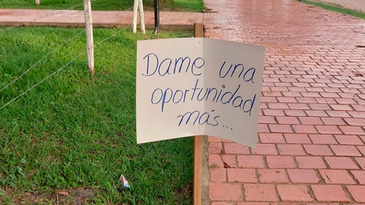 Hombre coloca carteles para pedir perdón.jpg