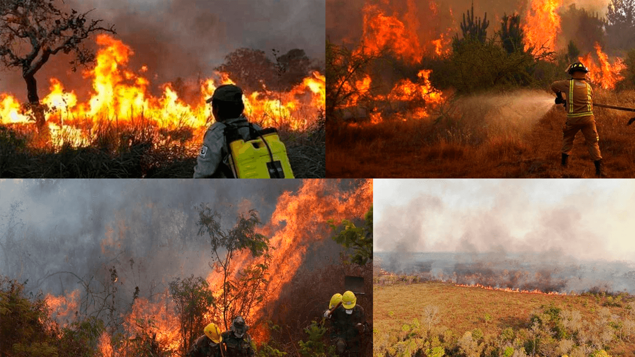 Incendios en Santa Cruz.png