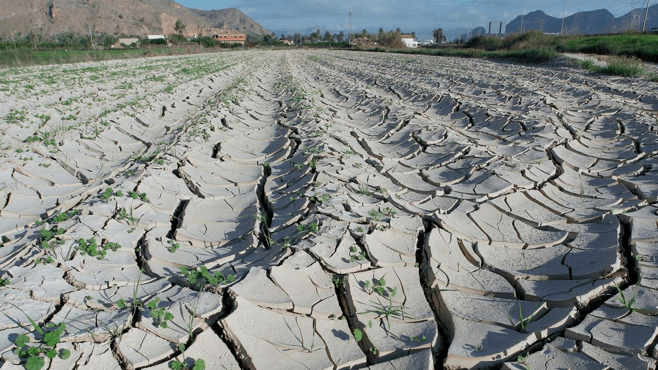 Plan para combatir la sequia.png